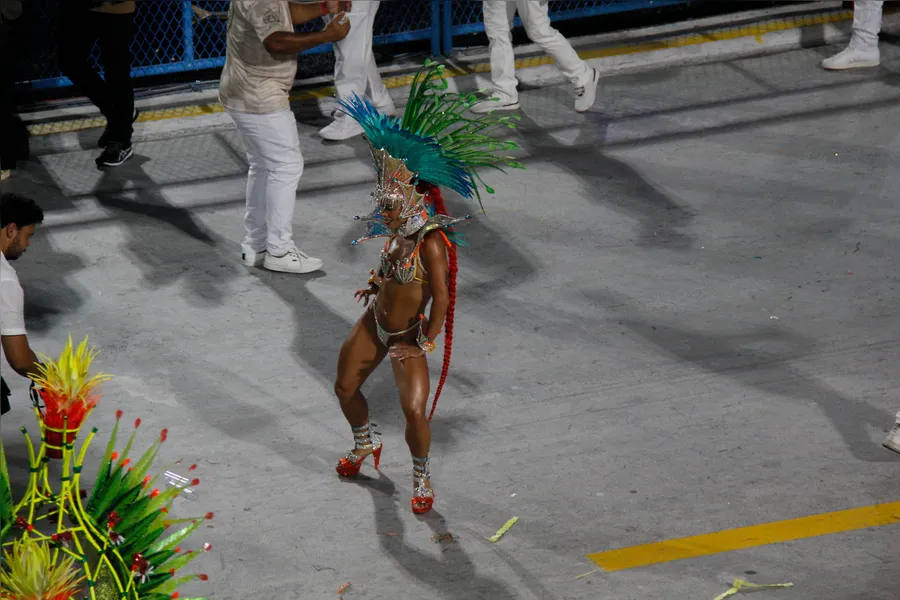 Fotos - Veja o desfile da Unidos do Viradouro