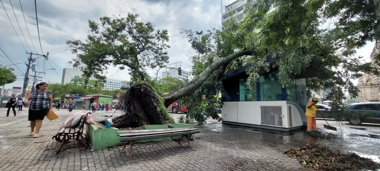 O dia seguinte ao caos: Niterói amanhece revirada após tempestade