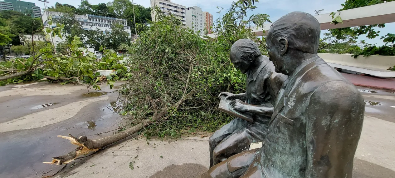 O dia seguinte ao caos: Niterói amanhece revirada após tempestade