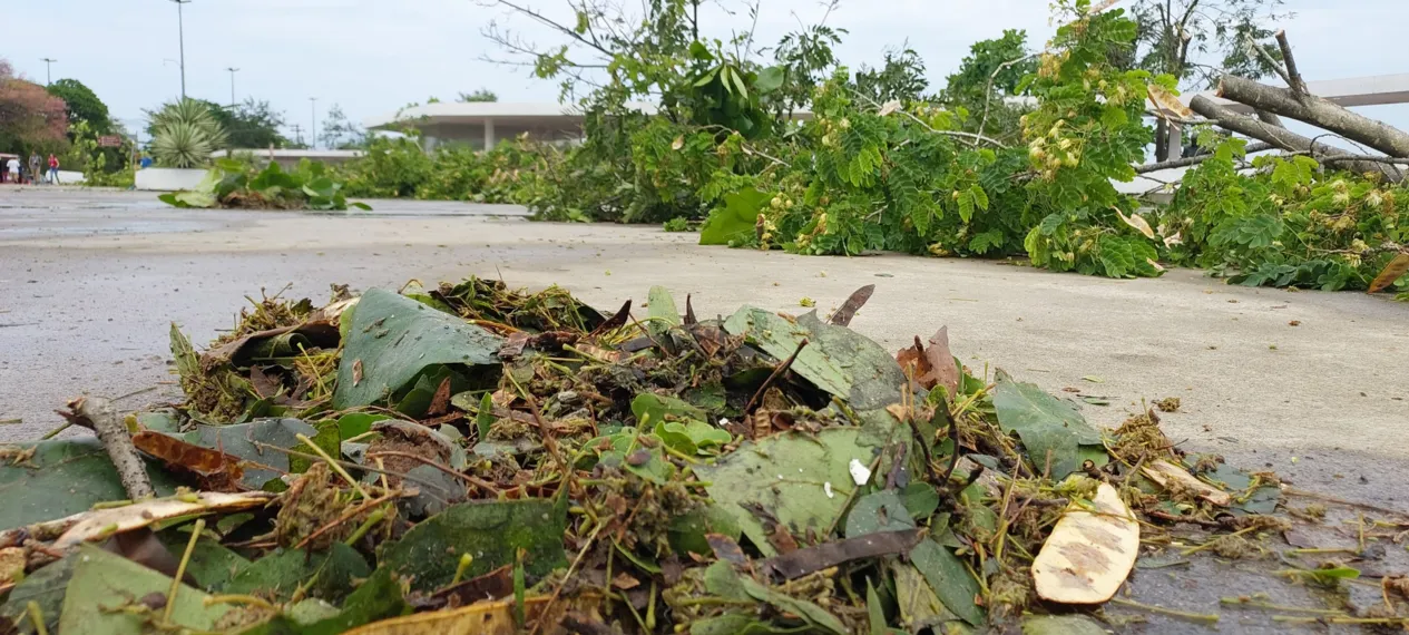 O dia seguinte ao caos: Niterói amanhece revirada após tempestade