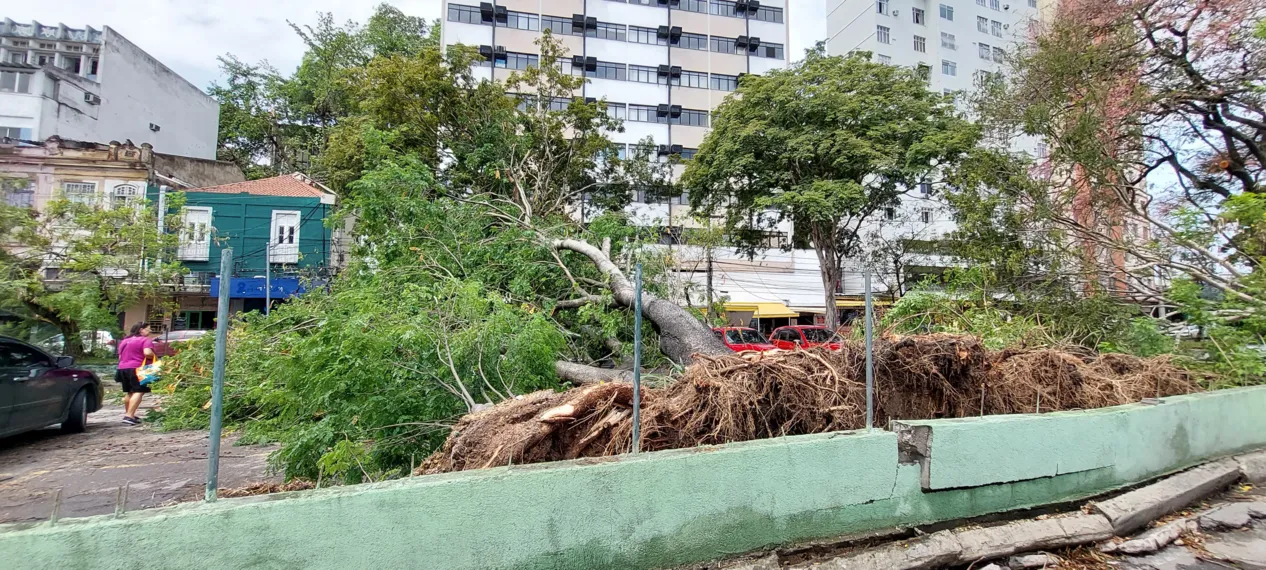 O dia seguinte ao caos: Niterói amanhece revirada após tempestade