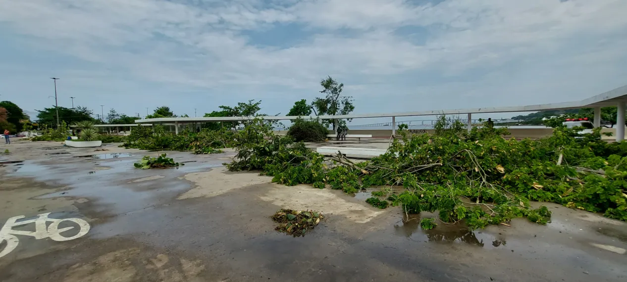 O dia seguinte ao caos: Niterói amanhece revirada após tempestade