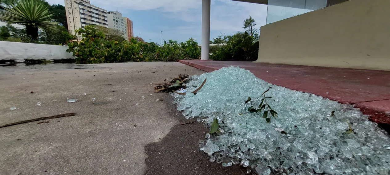 O dia seguinte ao caos: Niterói amanhece revirada após tempestade