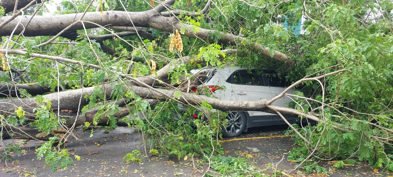 O dia seguinte ao caos: Niterói amanhece revirada após tempestade