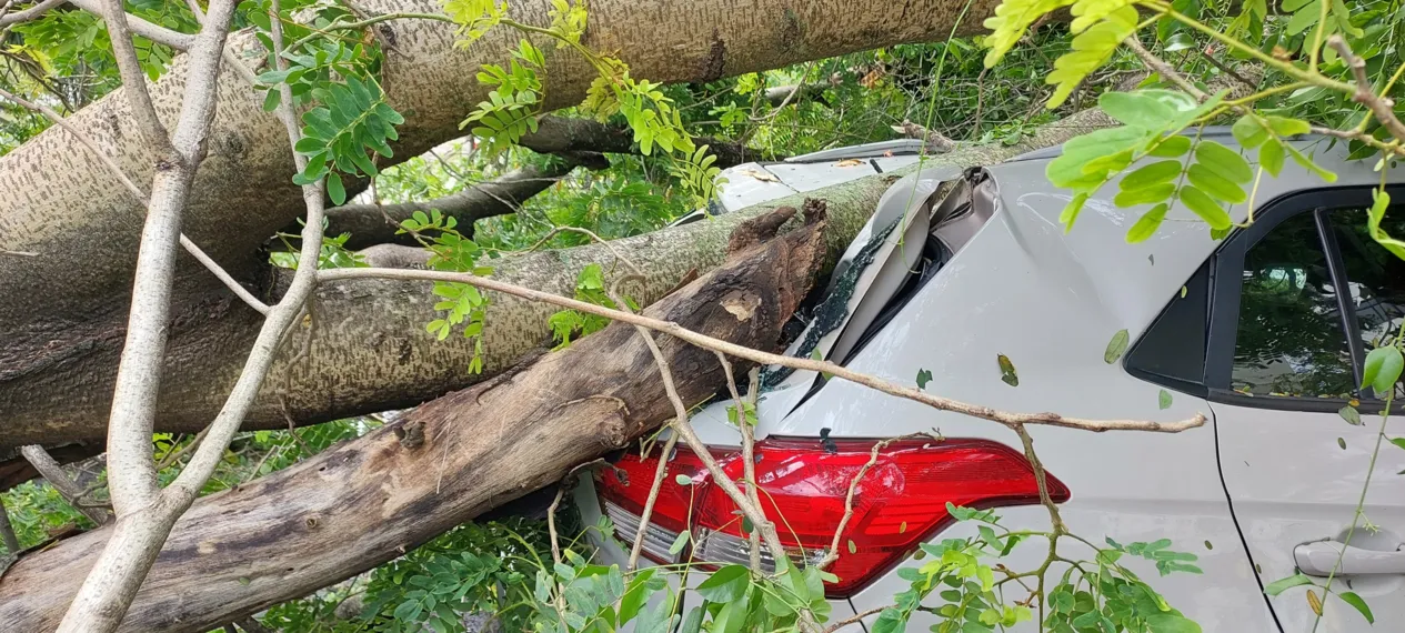 O dia seguinte ao caos: Niterói amanhece revirada após tempestade