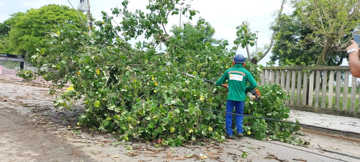 O dia seguinte ao caos: Niterói amanhece revirada após tempestade