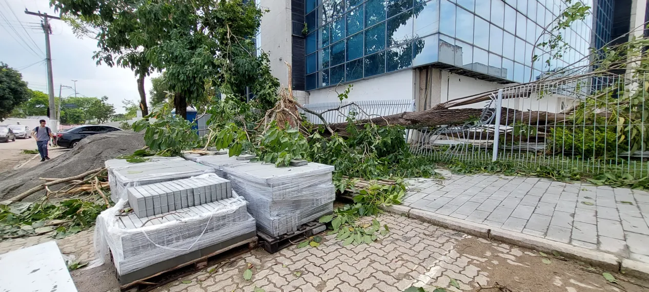 O dia seguinte ao caos: Niterói amanhece revirada após tempestade