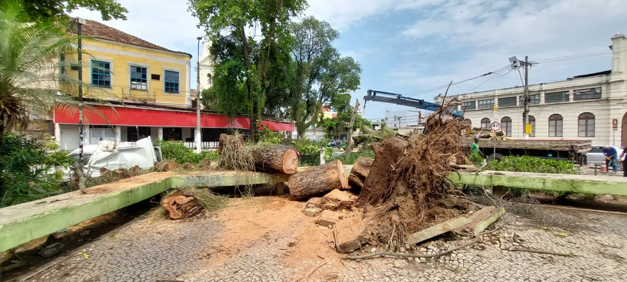 O dia seguinte ao caos: Niterói amanhece revirada após tempestade