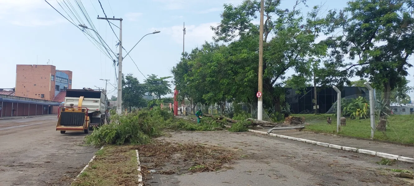 O dia seguinte ao caos: Niterói amanhece revirada após tempestade