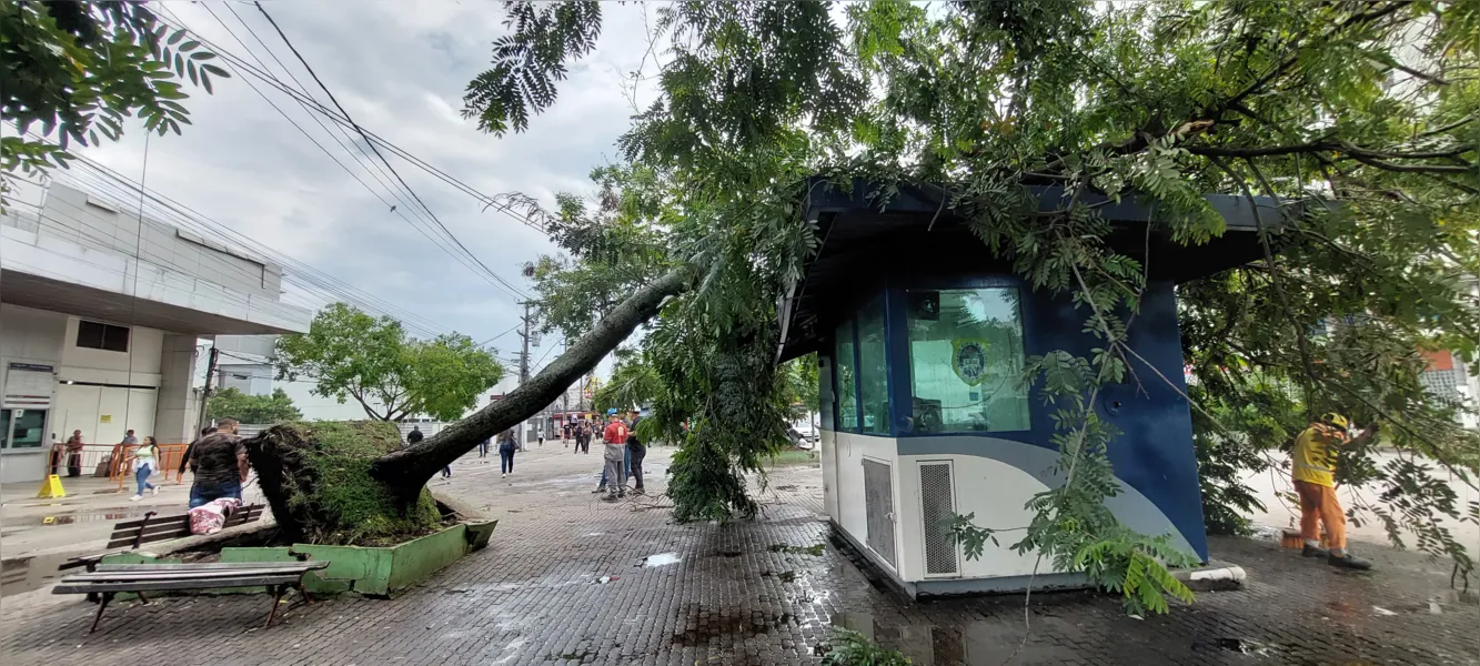 O dia seguinte ao caos: Niterói amanhece revirada após tempestade