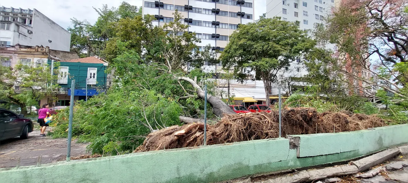 O dia seguinte ao caos: Niterói amanhece revirada após tempestade