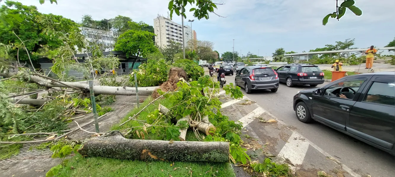 O dia seguinte ao caos: Niterói amanhece revirada após tempestade