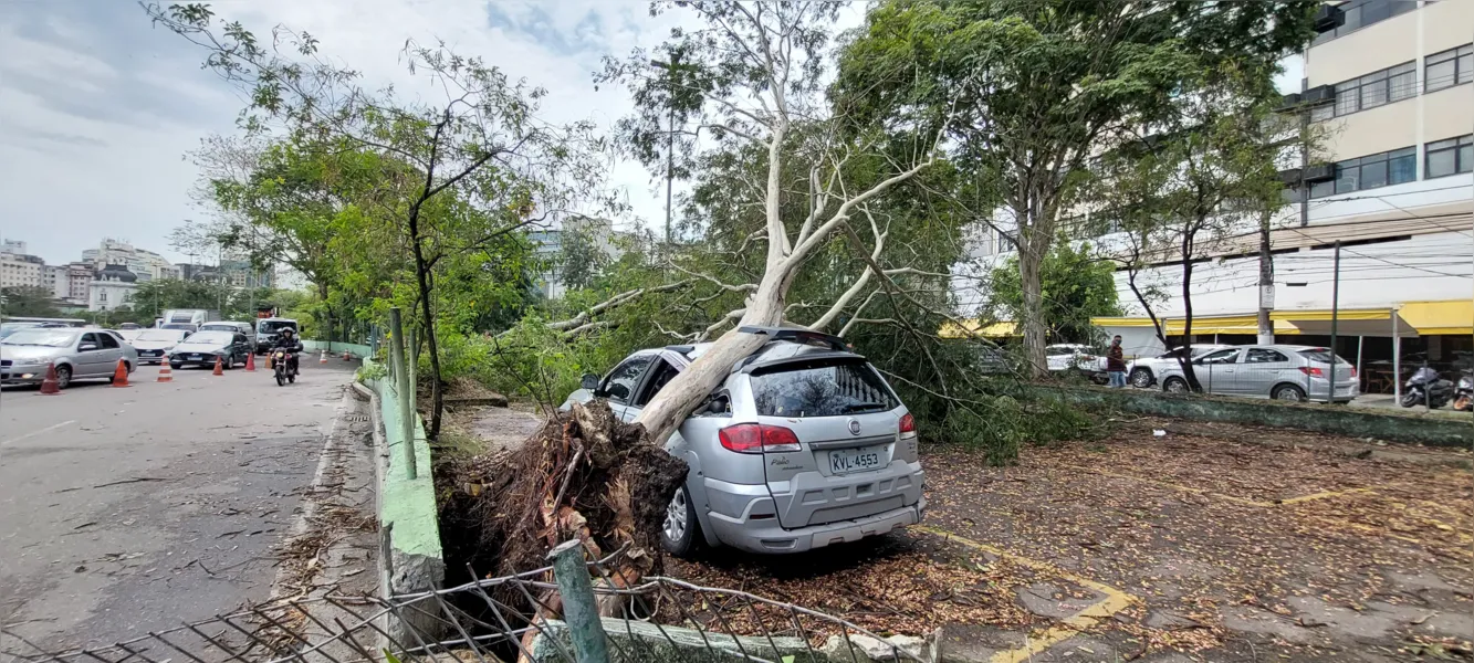 O dia seguinte ao caos: Niterói amanhece revirada após tempestade