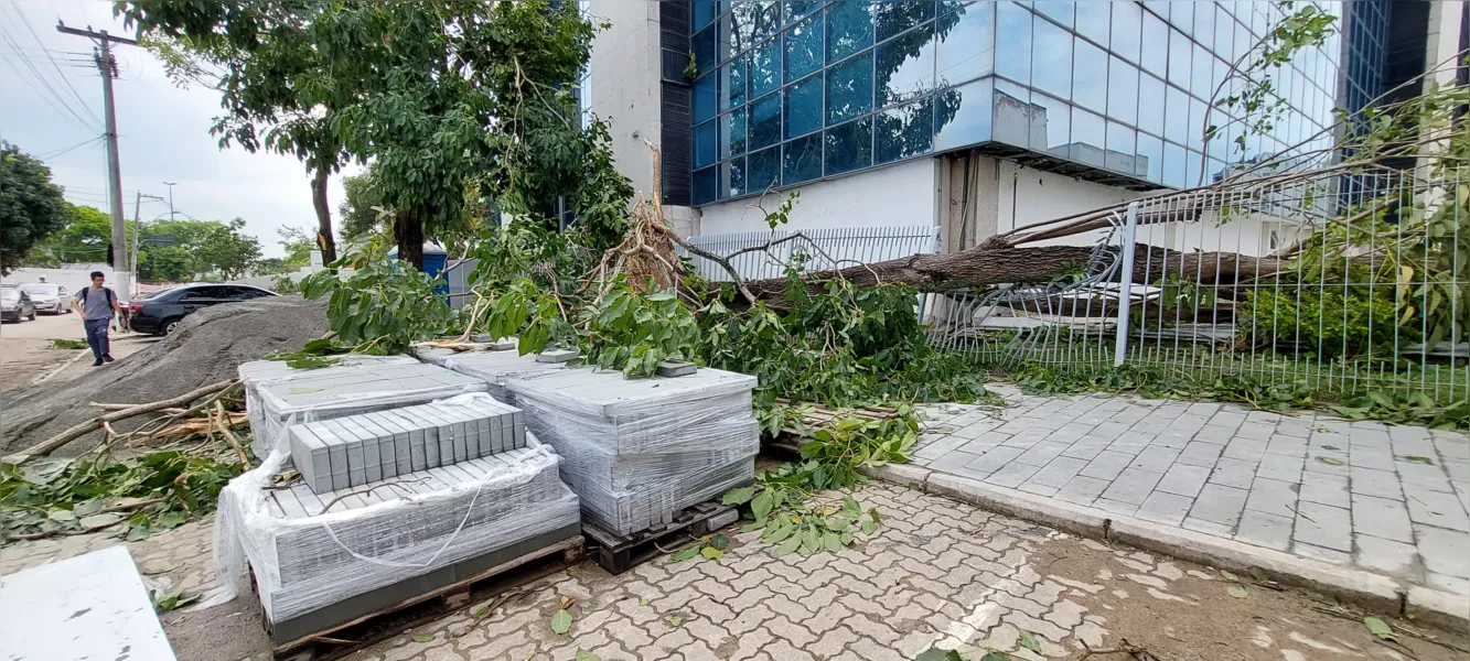 O dia seguinte ao caos: Niterói amanhece revirada após tempestade