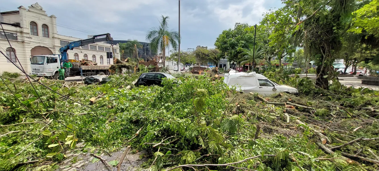 O dia seguinte ao caos: Niterói amanhece revirada após tempestade