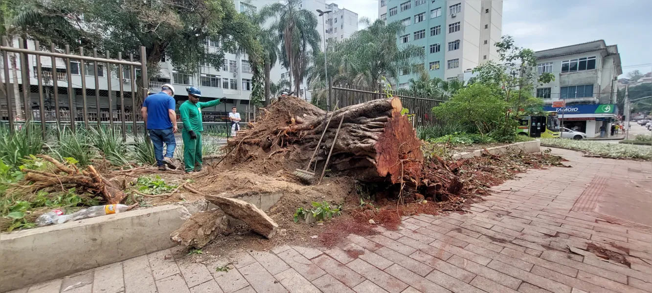 Veja como está Niterói três dias após forte temporal