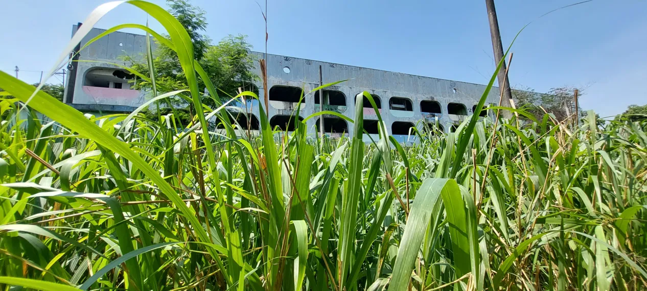 Escolas estaduais desativadas preocupam gonçalenses