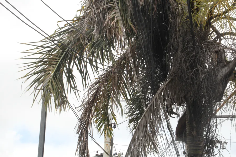 Apagão em SG e Niterói: De quem é a culpa?