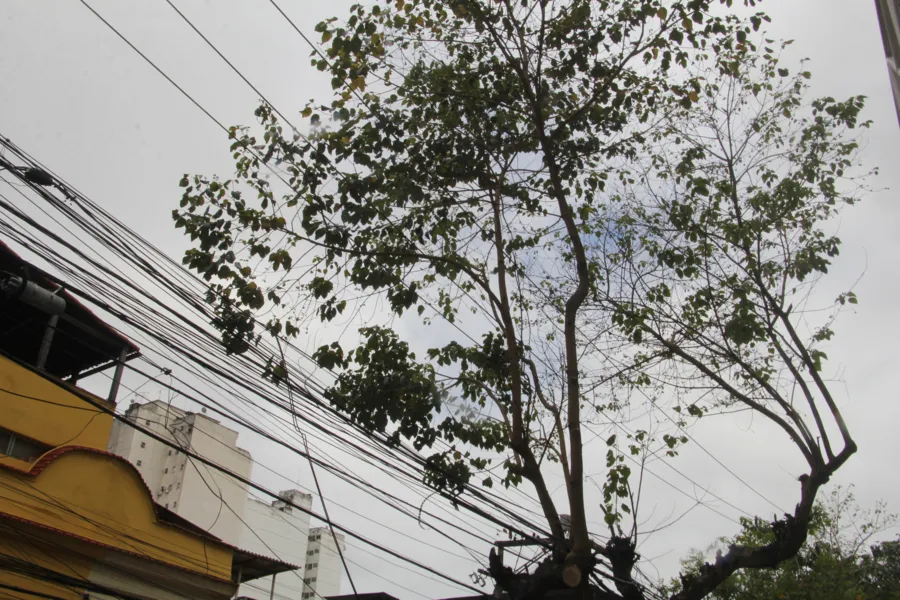 Apagão em SG e Niterói: De quem é a culpa?