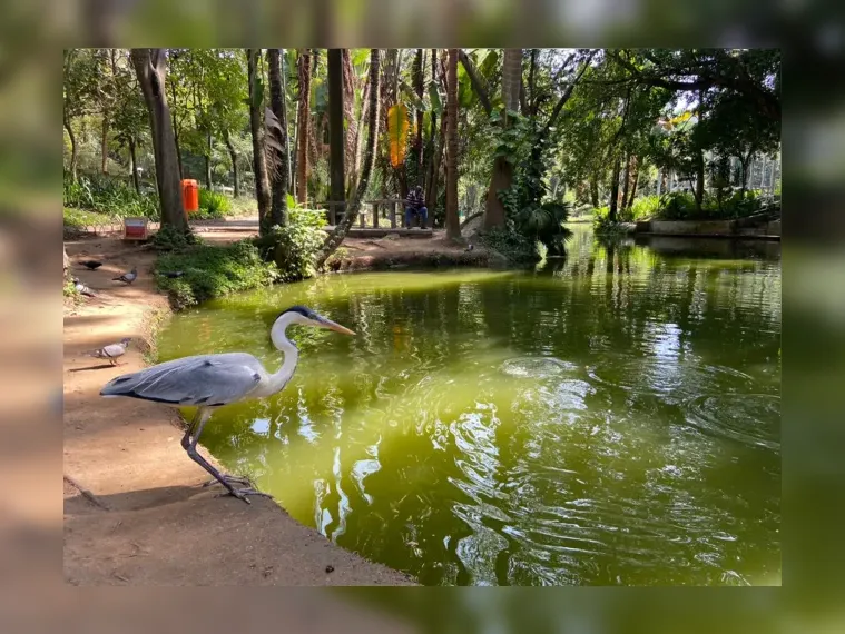 Berços da cultura em Niterói e São Gonçalo: conheça as histórias dos teatros da região