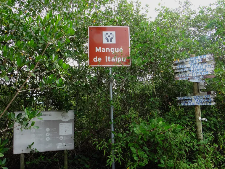 Dia do Meio Ambiente: projeto voluntário em Niterói recupera a vida no manguezal em Itaipu