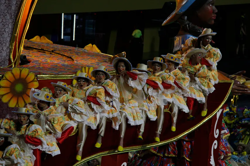 Fotos - veja o desfile da Acadêmicos de Niterói