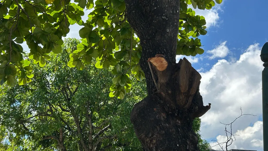 OSG faz por você: após reportagem, prefeitura inicia limpeza da Praça do Barreto