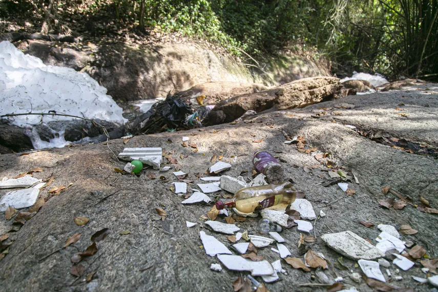 Rio Sapê: comunidade se mobiliza para recuperar biodiversidade e resgatar memórias