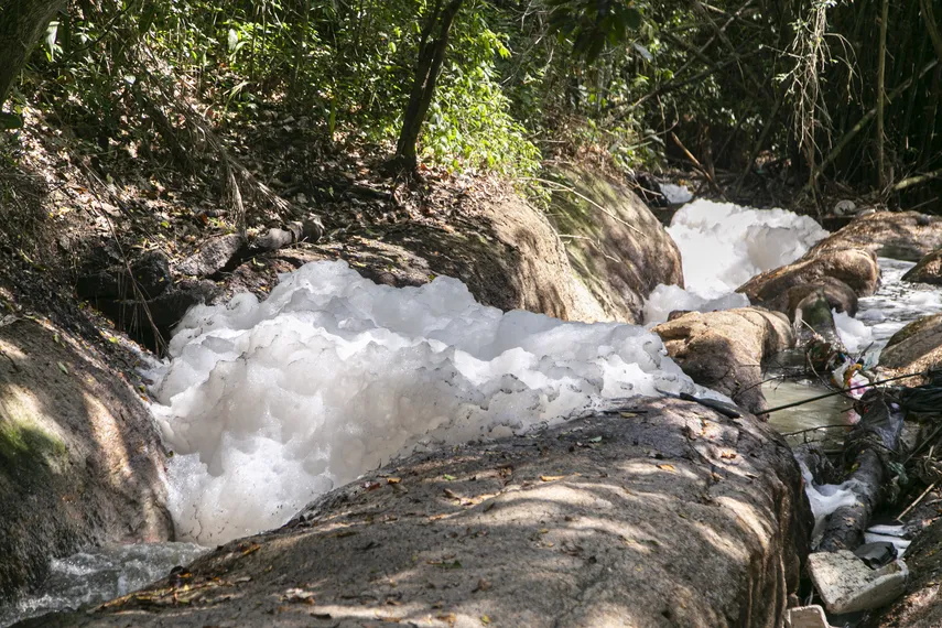 Rio Sapê: comunidade se mobiliza para recuperar biodiversidade e resgatar memórias