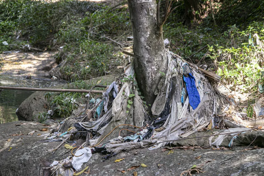 Rio Sapê: comunidade se mobiliza para recuperar biodiversidade e resgatar memórias