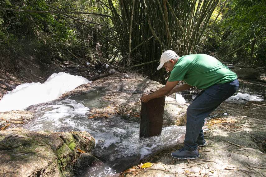 Rio Sapê: comunidade se mobiliza para recuperar biodiversidade e resgatar memórias