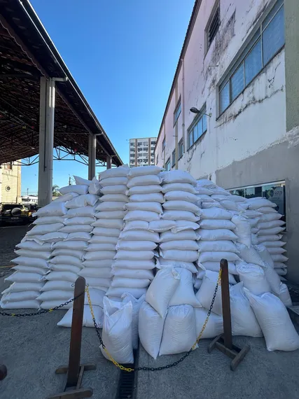 São Gonçalo se prepara para o maior Corpus Christi da América Latina nesta quinta-feira (19)