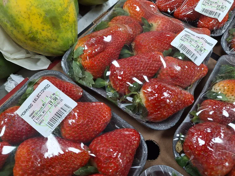 Sobremesa viral: Alta procura pelo "morango do amor" faz preço da fruta disparar em São Gonçalo