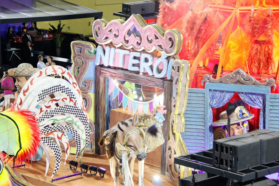Fotos - veja o desfile da Acadêmicos de Niterói