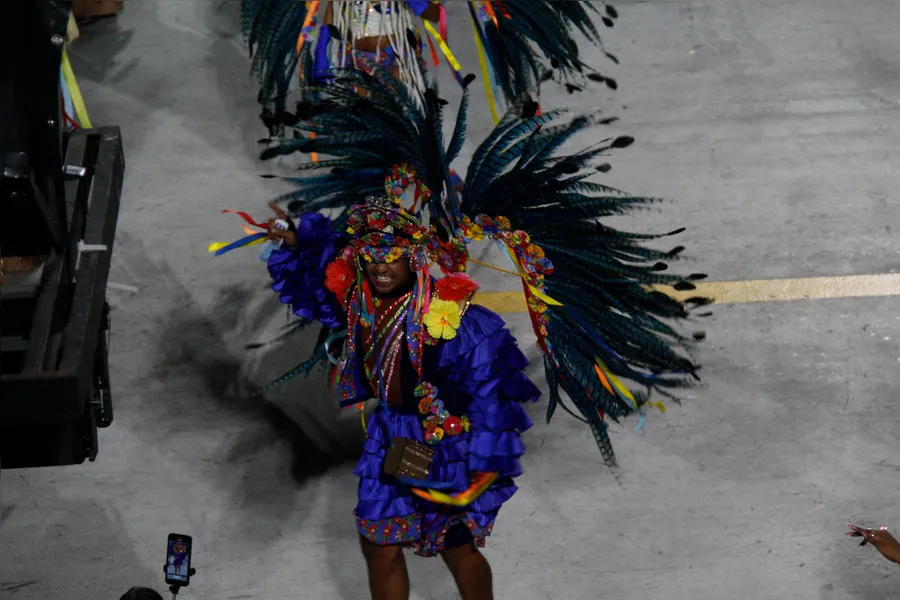 Fotos - veja o desfile da Acadêmicos de Niterói