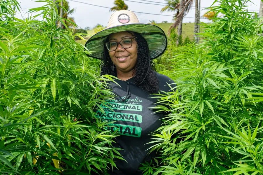 Fundadora da AbraRio celebra decisão histórica que autoriza cultivo de cannabis para uso medicinal: 'Dor que se transformou em amor'