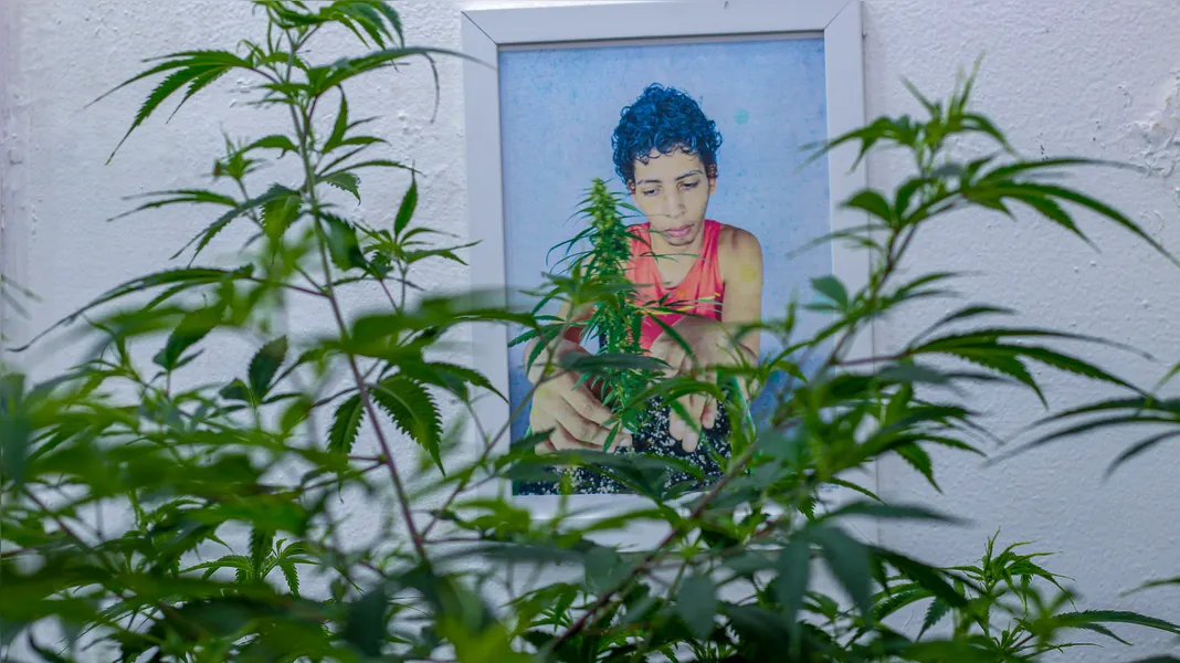 Fundadora da AbraRio celebra decisão histórica que autoriza cultivo de cannabis para uso medicinal: 'Dor que se transformou em amor'