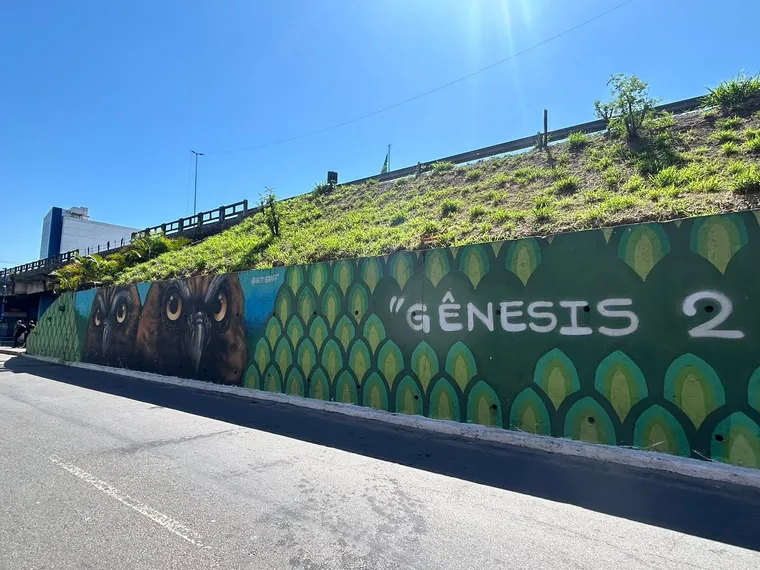 Murais de São Gonçalo: Geografia urbana e diversidade sob a ótica da arte espalhada pela cidade