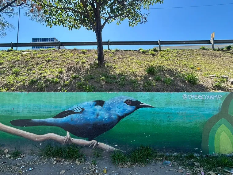 Murais de São Gonçalo: Geografia urbana e diversidade sob a ótica da arte espalhada pela cidade