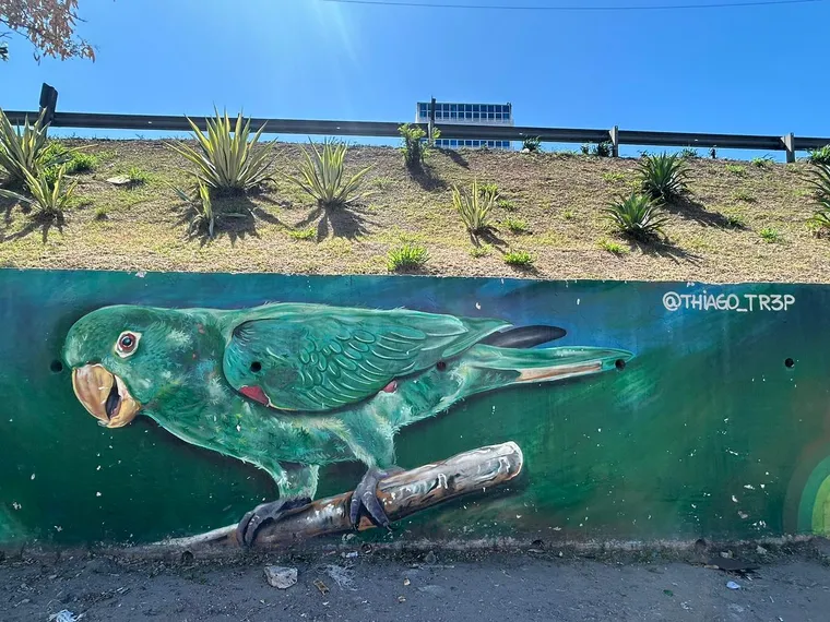 Murais de São Gonçalo: Geografia urbana e diversidade sob a ótica da arte espalhada pela cidade