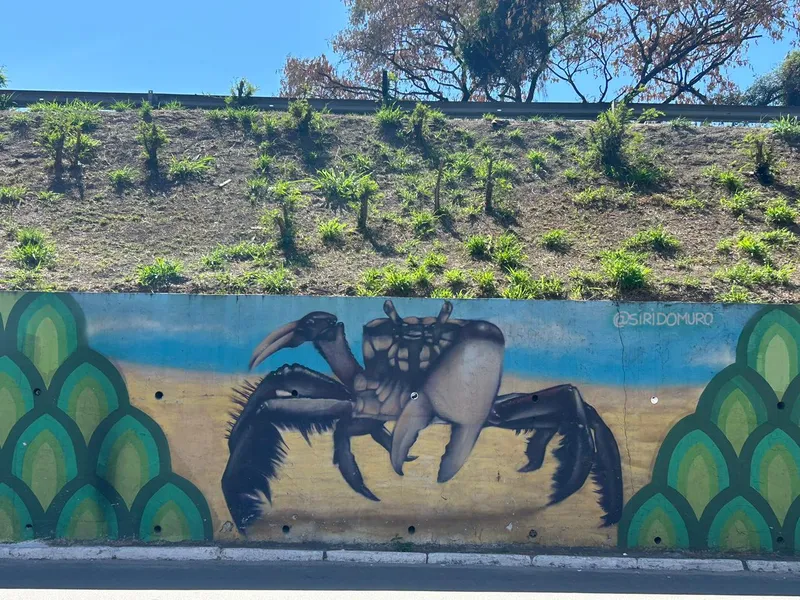 Murais de São Gonçalo: Geografia urbana e diversidade sob a ótica da arte espalhada pela cidade