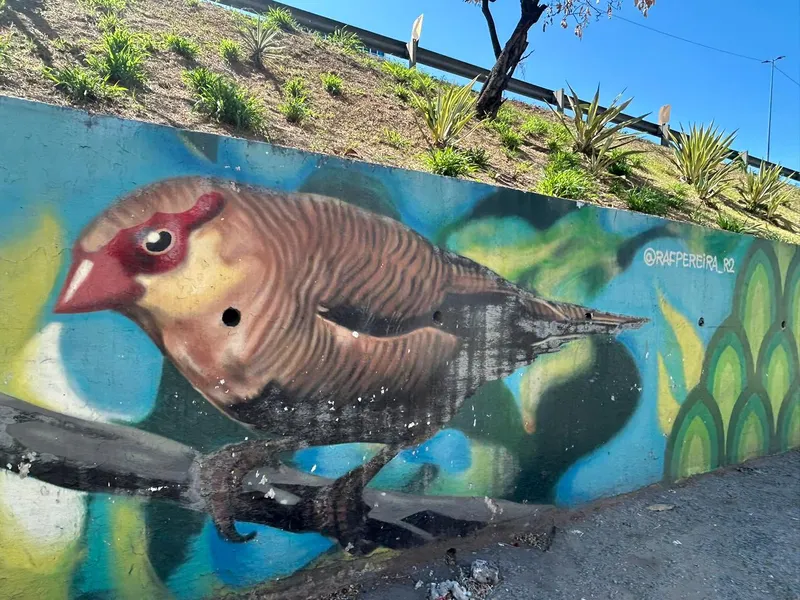 Murais de São Gonçalo: Geografia urbana e diversidade sob a ótica da arte espalhada pela cidade