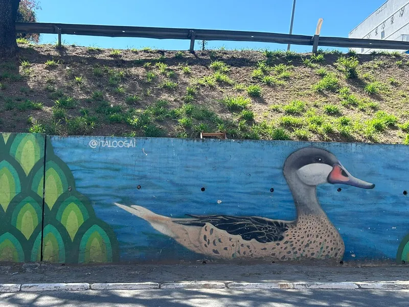 Murais de São Gonçalo: Geografia urbana e diversidade sob a ótica da arte espalhada pela cidade