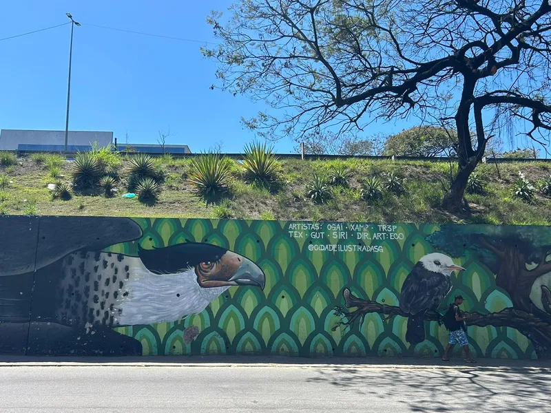 Murais de São Gonçalo: Geografia urbana e diversidade sob a ótica da arte espalhada pela cidade