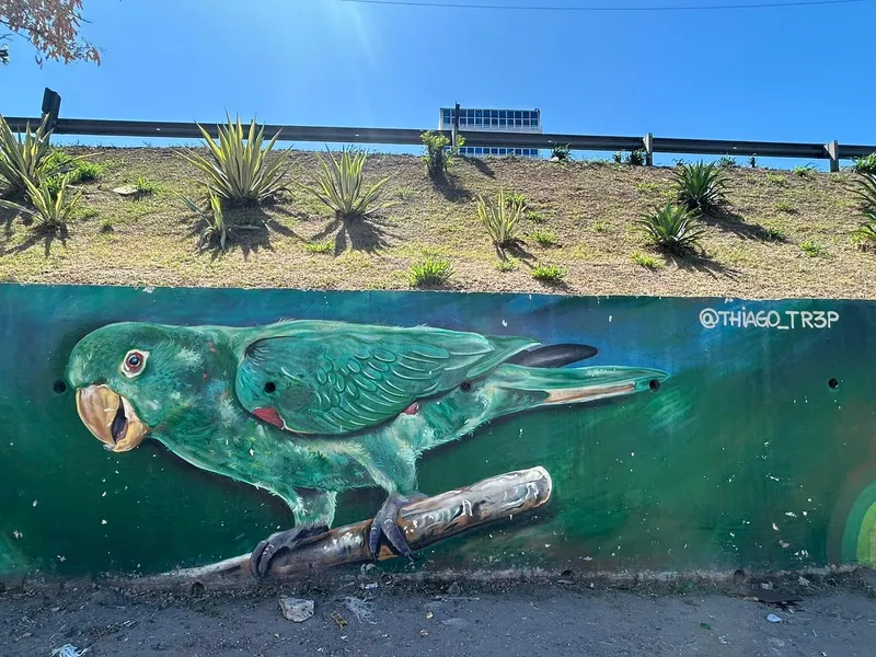 Murais de São Gonçalo: Geografia urbana e diversidade sob a ótica da arte espalhada pela cidade