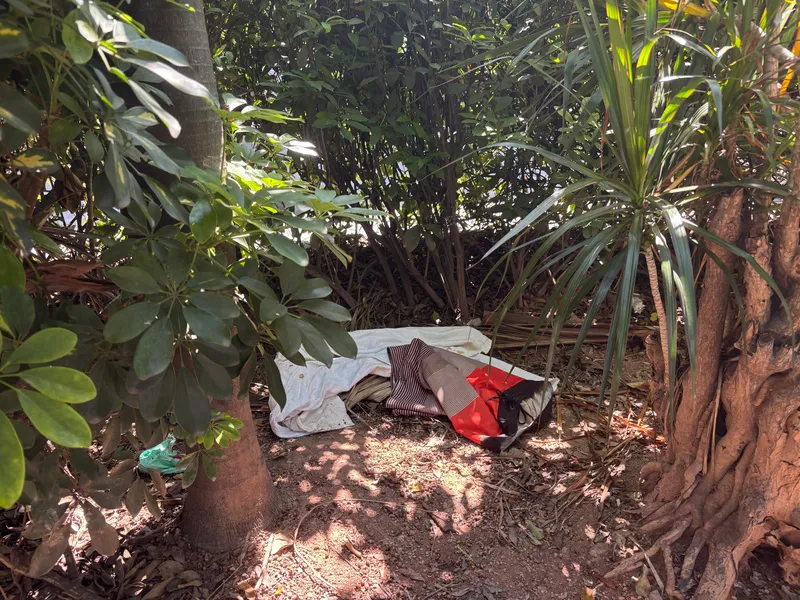 Passageiros apontam abandono e problemas estruturais no Terminal Roberto Silveira