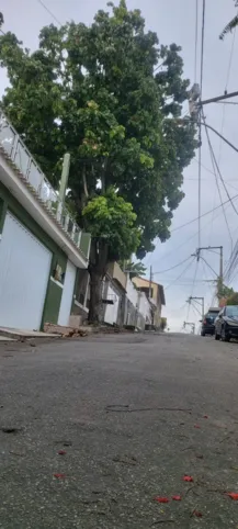 Moradores se preocupam com galhos de árvore sobre rede elétrica de rua no Gradim