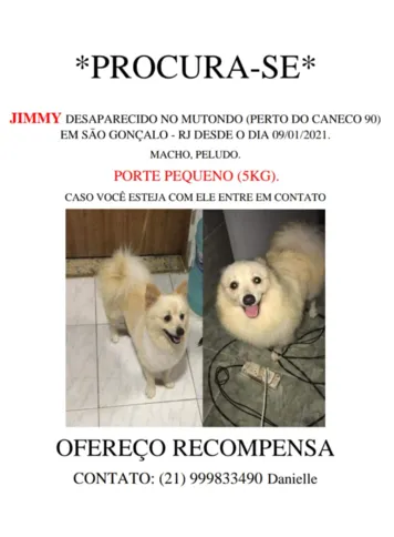 Jimmy foi furtado de dentro de casa 