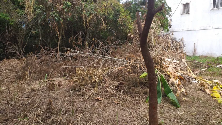 A construção foi encontrada na Rua Safira, lote 19, em Itaipuaçu