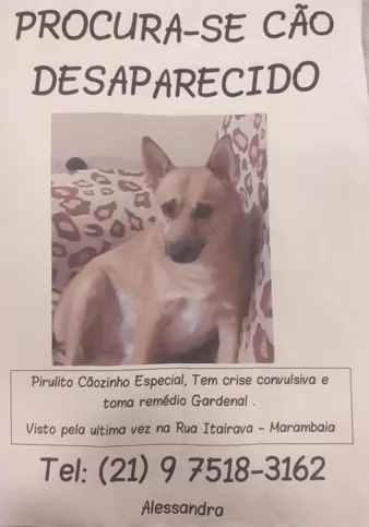 Ele desapareceu no Marambaia 